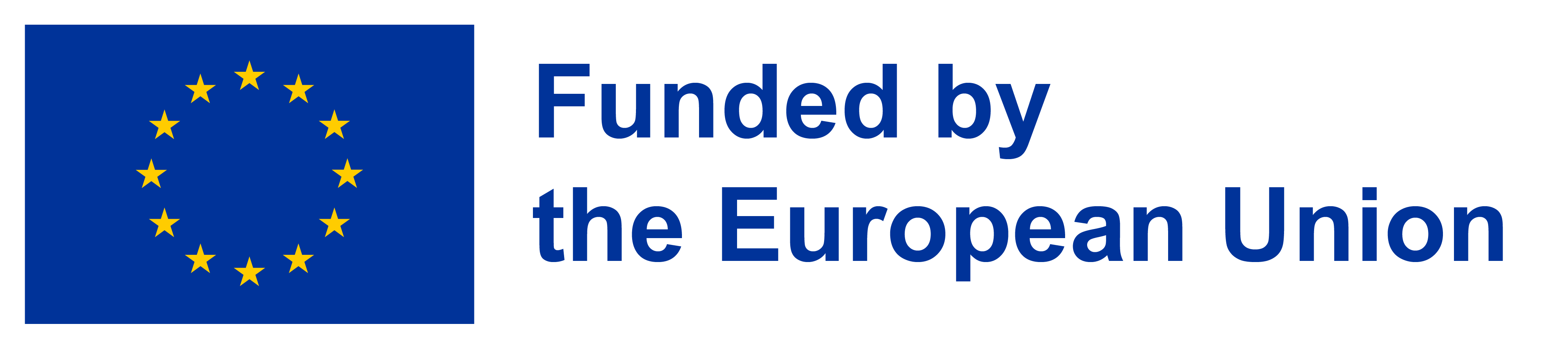 Euro flag